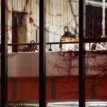 ‘Gunman on Campus: We Sheltered in Darkness’—Students Share Their ‘Nightmare’ Experience Amid Fear and Sirens at Brown University.